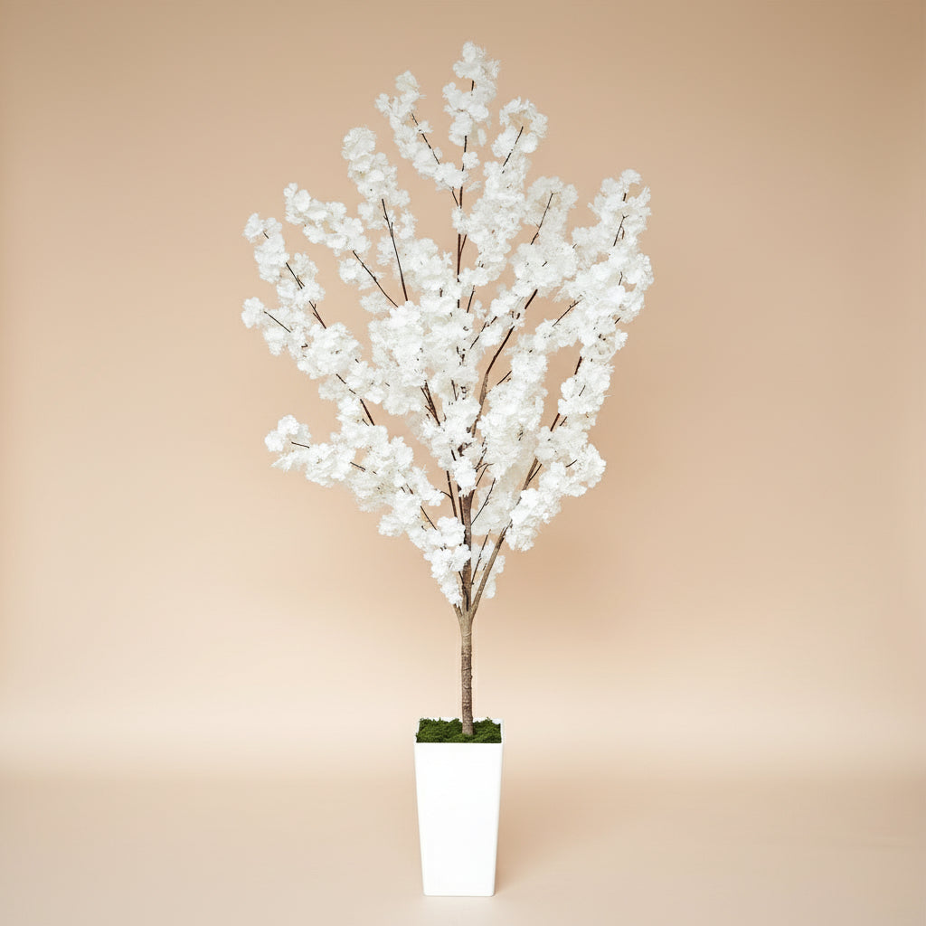 Arbre de fleurs de cerisier blanc