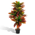 Plante Croton artificielle de 101,6 cm - Electromagna