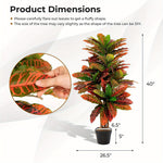 Plante Croton artificielle de 101,6 cm - Electromagna